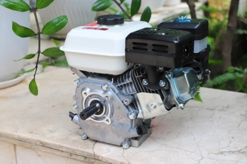Động cơ nổ Pona PN160 5.5HP Cam-trắng-đen 4 thì - Hình ảnh 11 PONA
