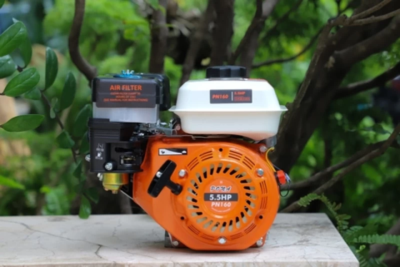 Động cơ nổ Pona PN160 5.5HP Cam-trắng-đen 4 thì - Hình ảnh 15 PONA
