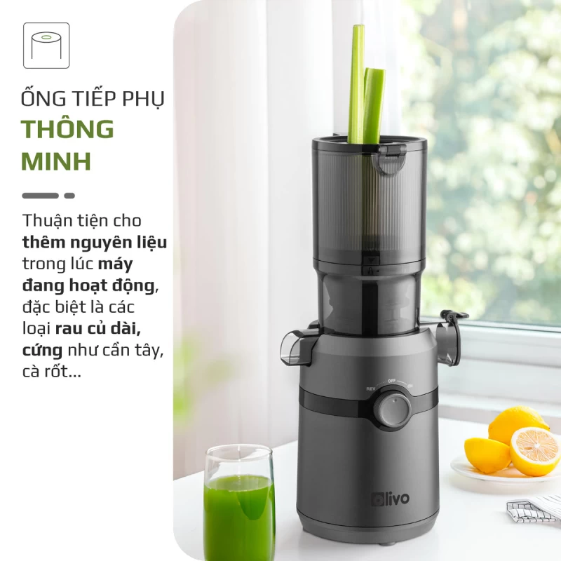 Máy Ép Chậm OLIVO SJ240 - Phiên Bản Giới Hạn Màu Titanium - Khoang Tiếp Lớn - Giải Pháp Hoàn Hảo Cho Việc Ép Kết Hợp Trái Cây, Rau Củ - Hình ảnh 5 OLIVO