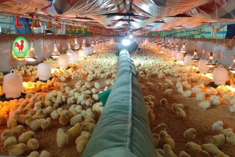 Máy sưởi công nghiệp 20KW dùng điện, diện tích sưởi 200m2 - Hình ảnh 3 OMYSU