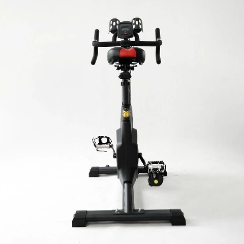 Xe đạp tập thể dục Queen Crown 350 Sport - Hình ảnh 4 QUEEN CROWN