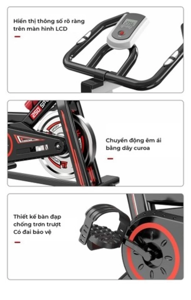Xe đạp tập thể dục Queen Crown QC 250 Sport - Hình ảnh 3 QUEEN CROWN