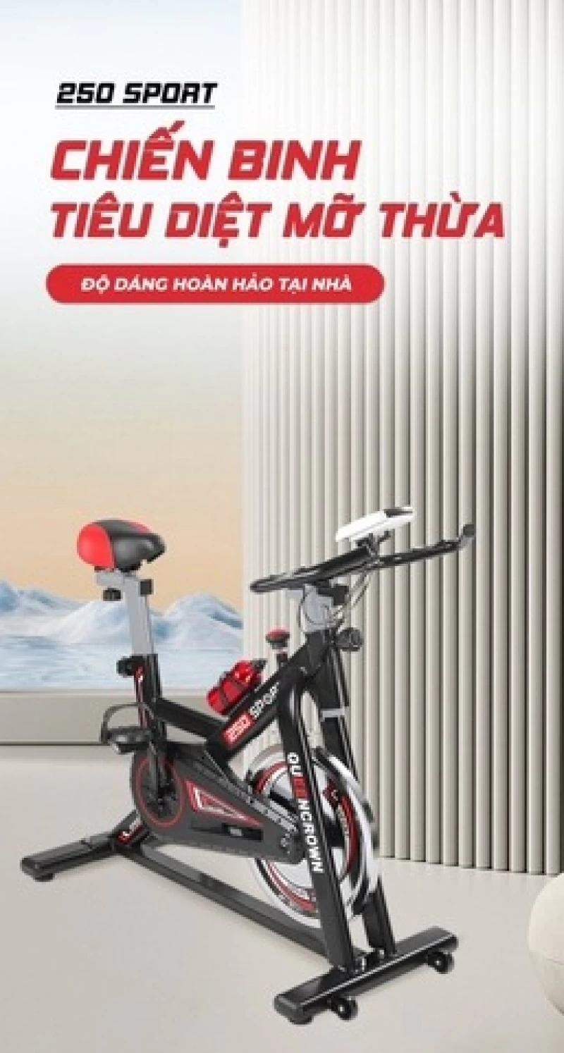Xe đạp tập thể dục Queen Crown QC 250 Sport - Hình ảnh 1 QUEEN CROWN