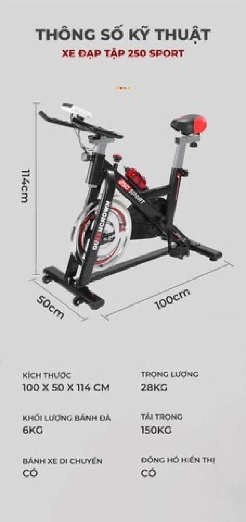 Xe đạp tập thể dục Queen Crown QC 250 Sport - Hình ảnh 2 QUEEN CROWN